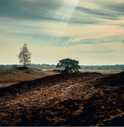 Screenshot 2026 03 03