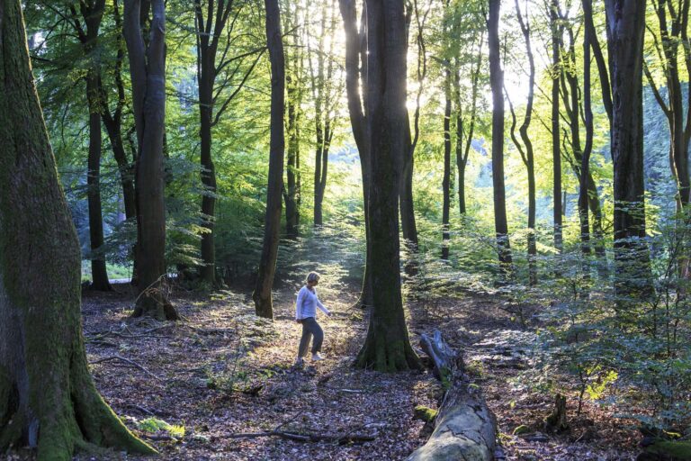 herfstwandeling Harderwijk
