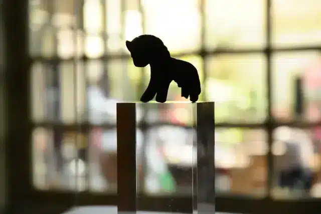 Hanzepaardje foto laura